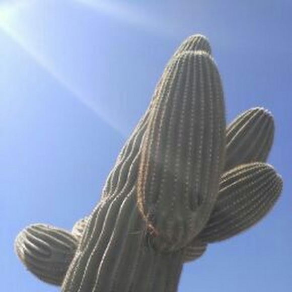 Meet your Posher, Jose - Picture 1 of 1